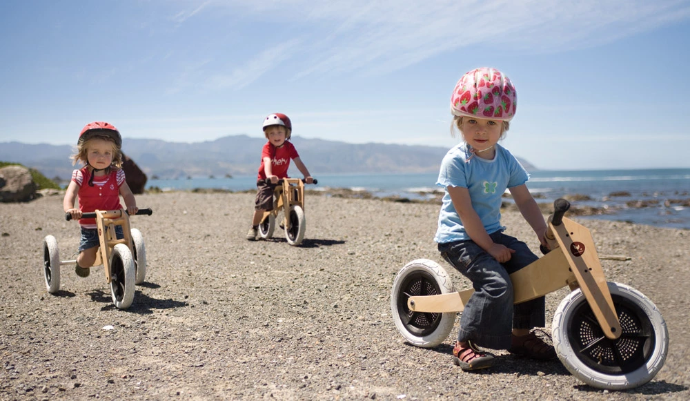 Wishbone Pre-Bike 2-in-1 Laufrad 8 Wishbone Pre-Bike 2-in-1 Laufrad – Bild 8