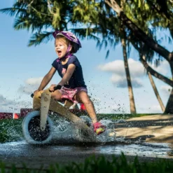 Wishbone Pre-Bike 3-in-1 Laufrad -Thule || Croozer || MOUNTAIN BUGGY Verkäufe 3 in 1 lifestyle