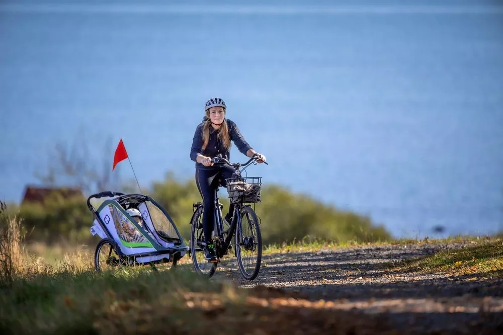 Hamax, Breeze Fahrradanhänger Für Kinder 2023 15 Hamax, Breeze Fahrradanhänger Für Kinder 2023 - Image 15