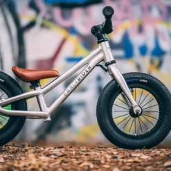 Early Rider, Charger 12, Kinderrad 2023 -Thule || Croozer || MOUNTAIN BUGGY Verkäufe photo 2020 02 07 18 53 07