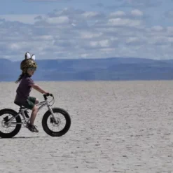 Early Rider, Seeker X16, Trail-Kinderrad 2023 -Thule || Croozer || MOUNTAIN BUGGY Verkäufe seekerx16 gallery dekstop 1