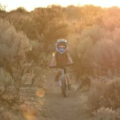 Early Rider, Seeker X16, Trail-Kinderrad 2023 -Thule || Croozer || MOUNTAIN BUGGY Verkäufe seekerx16 gallery desktop 4