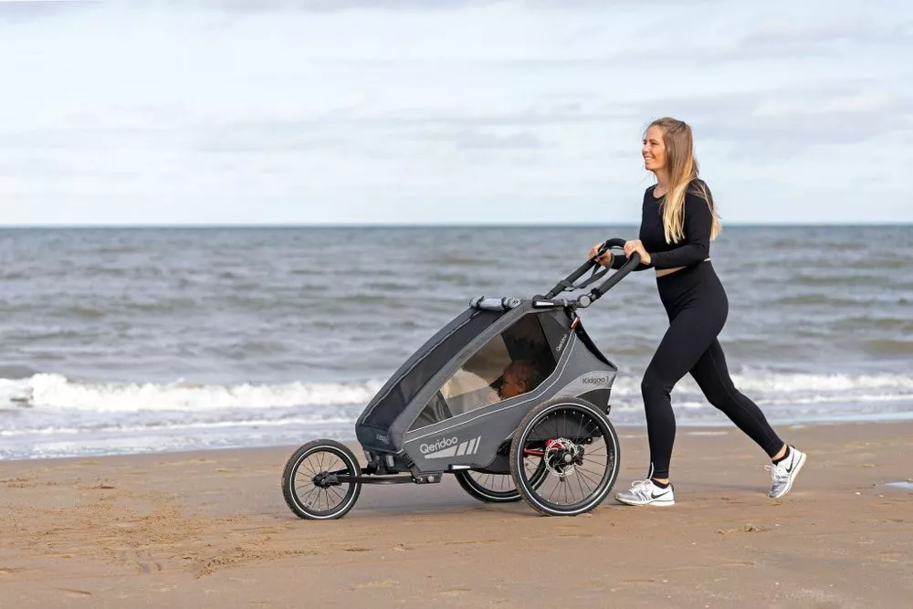 Qeridoo 14" Joggerrad Für Zweisitzer 2022 3 Qeridoo 14" Joggerrad Für Zweisitzer 2022 - Image 3