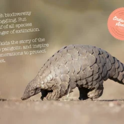 Wishbone Bike Limited Edition Pangolin – 3in1 Laufrad -Thule || Croozer || MOUNTAIN BUGGY Verkäufe wishbone pangolin info web