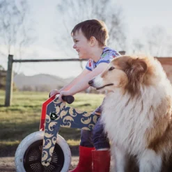 Wishbone Bike Limited Edition Pangolin – 3in1 Laufrad -Thule || Croozer || MOUNTAIN BUGGY Verkäufe wishbone pangolin laufrad lifestyle2