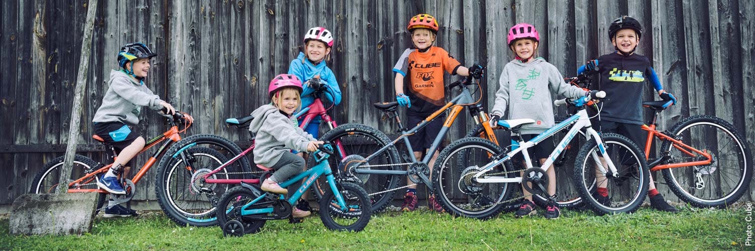 Thule || Croozer || MOUNTAIN BUGGY Verkäufe -Thule || Croozer || MOUNTAIN BUGGY Verkäufe 645477 kinderfahrrad